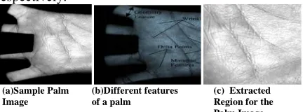 Figure 1 Palmprint Image For Recognition 