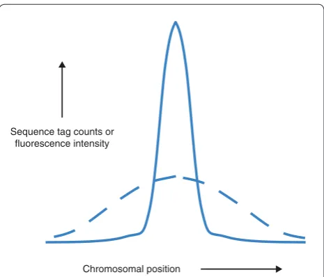 Figure 1. Flow scheme of the central steps in the ChIP-seq procedure.