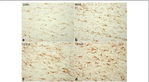 Fig. 4 Photomicrographs of the corpus callosum area in (blast and (processes, swollen and somewhat elongated cell bodies and increased immunoreactivity are especially seen with (a) a sham control, (b) animal exposed to a single blast, (c) animal exposed to