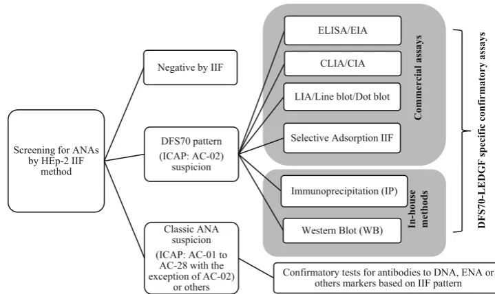 Fig. 3 Schematic describes the current diagnostic algorithm forspeciﬁc conﬁrmatory assays are performed