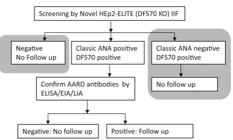 Fig. 7 HEp-2 ELITE/DFS70 KO substrate as the ﬁrst step IIFscreening method simpliﬁes the ANA screening and conﬁrmationalgorithm