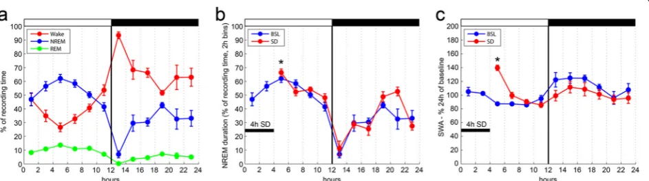 Fig. 2 Sleep/wake pattern and response to sleep deprivation in ALDH1L1 – eGFP-L10a mice