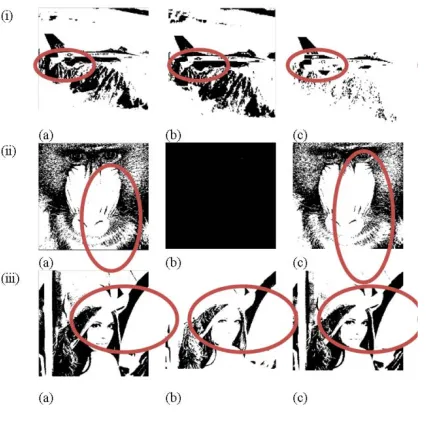 Figure 6: The Results Of Thresholding Methods On Standard Images. (I) Airplane, (Ii) Baboon, And (Iii) 