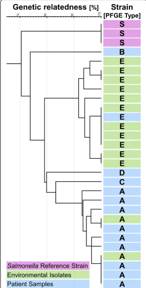 Fig. 2 Dendrogram of PFGE patterns of human (n = 13; pattern A = 9,one each pattern B, C, D, E and environmental VRE strains (n = 13;pattern E = 11, pattern A = 2) including 3 control strains