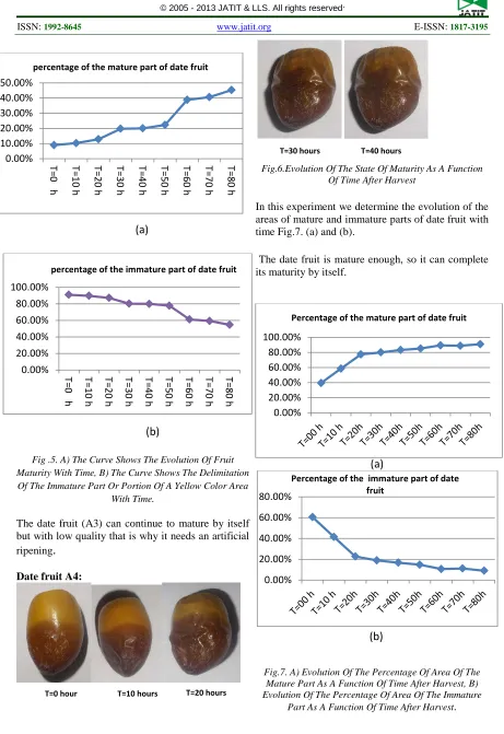 Fig.7. A) Evolution Of The Percentage Of Area Of The Mature Part As A Function Of Time After Harvest, B) Evolution Of The Percentage Of Area Of The Immature Part As A Function Of Time After Harvest