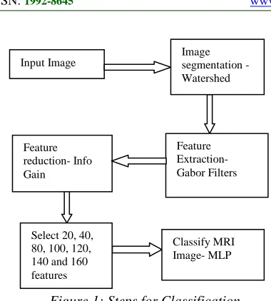 Figure 1: Steps for Classification 