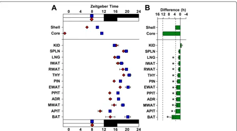 Fig. 3 Photoperiodic changes in the phase of peripheral tissues persist after release into constant darkness.(± SEM) on the first cyclesymbols) or LD20:4 (red symbols)