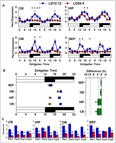 Fig. 4 (See legend on next page.)
