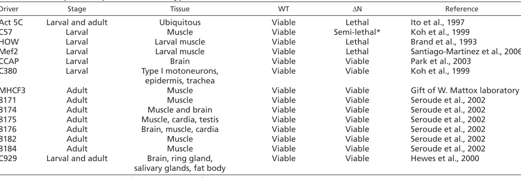 Table 1. Tissue-specific expression of wild-type and mutant forms of Lamin C