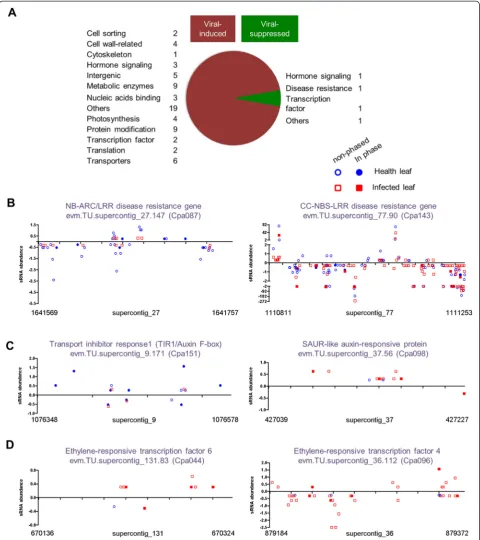 Fig. 4 siRNA production from variousor loci for each gene category showing induced or suppressed expression is indicated.disease-resistant genes (total 21-nt siRNA production in papaya leaves infected by PHAS loci upon viral infection