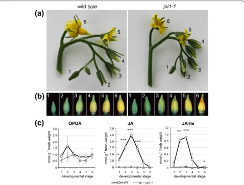 Figure 1 Classification of stages and levels of jasmonates in developing stamens of wild type and jai1-1