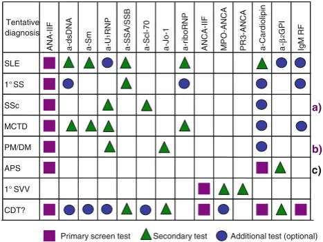 Fig. 1 Algorithm proposed for ordering screen tests and speciﬁctissue disease,autoantibodies in some classical inﬂammatory systemic rheumaticdiseases