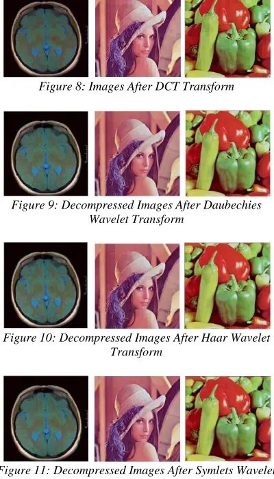 Figure 8: Images After DCT Transform  