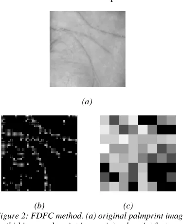 Figure 2: FDFC method. (a) original palmprint image, (b) binary palmprint image, (c) palmprint feature representation 