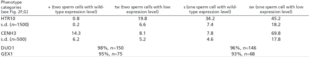 Fig. 2. Sperm entry in wild-type ovules fertilized by cdka;1pollen.sperm cells fuse with the egg cell (e; the nucleus is marked by a dottedcircle) and the central cell (75.3%)