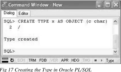 Fig 17 Creating the Type in Oracle PL/SQL 