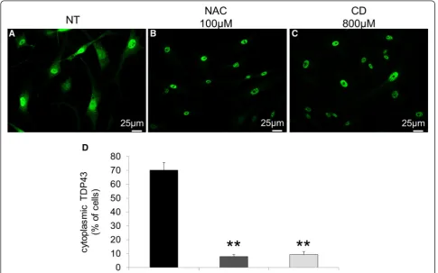 Fig. 6 mRNA expression levels of genes regulated by TDP-43 in wt (of wt. HPRT was used as reference gene
