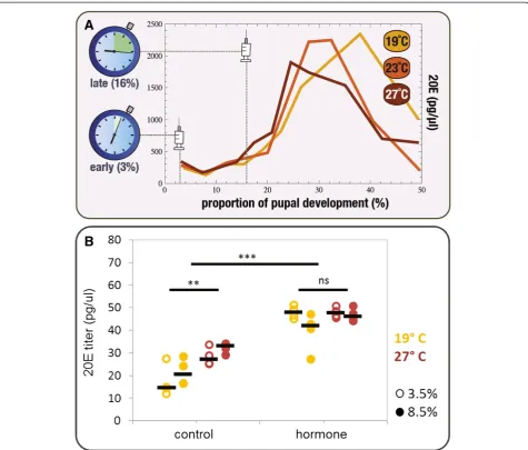 Figure 1 Dynamics and manipulation of internal levels of ecdysone. (A)Square Experimental design for hormone manipulations