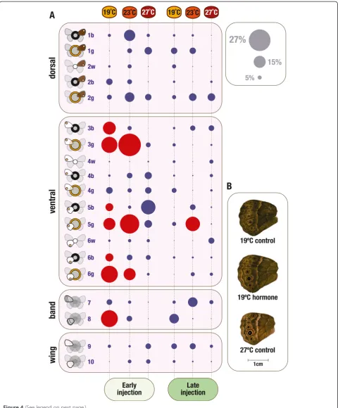 Figure 4 (See legend on next page.)
