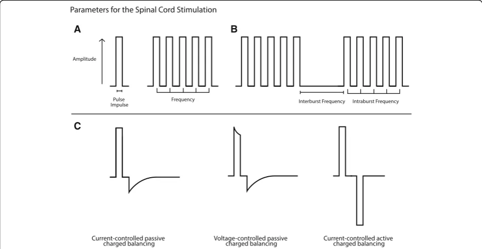 Fig. 2 Parameters for Spinal Cord stimulation: Paneldivided into two segments: depolarization, or deflection above electroneutrality, and repolarization, the return to baseline