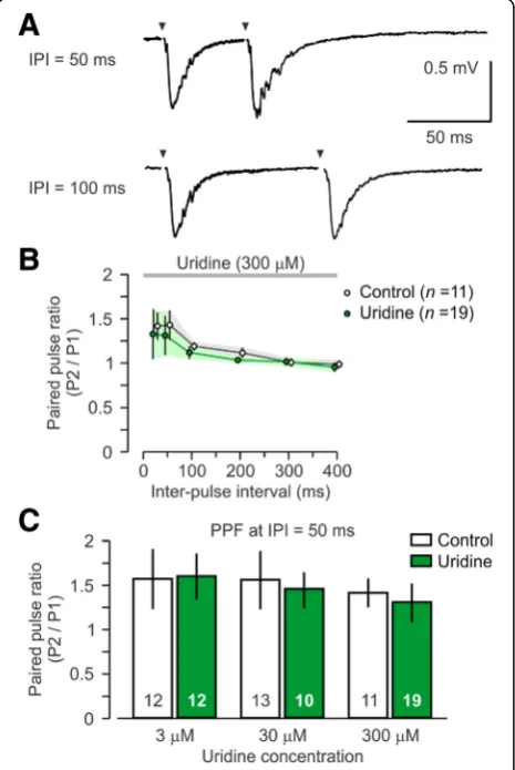 Fig. 2 Null effect of uridine on short-term synaptic plasticity. aRepresentative traces showing paired pulse stimulation at inter-pulseintervals (IPI) of 50 ms and 100 ms from brain slices treated withhigh uridine (300 μM)