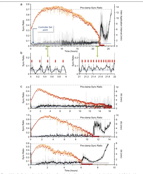 Figure 4 Using feedback to adjust cholinergic input allows clamping of network synchrony at low levels, but not indefinitely