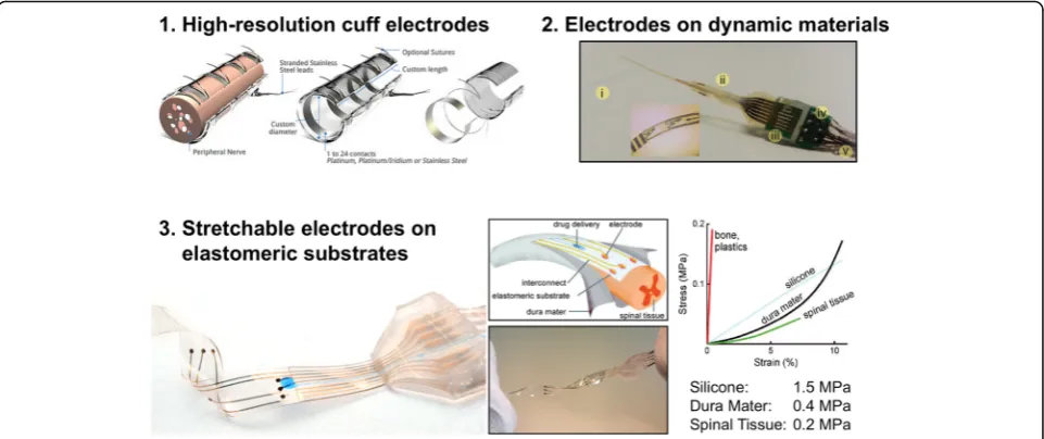 Fig. 2 There are several important dimensions to consider in the design of peripheral nerve interfaces (PNI) with improved performance