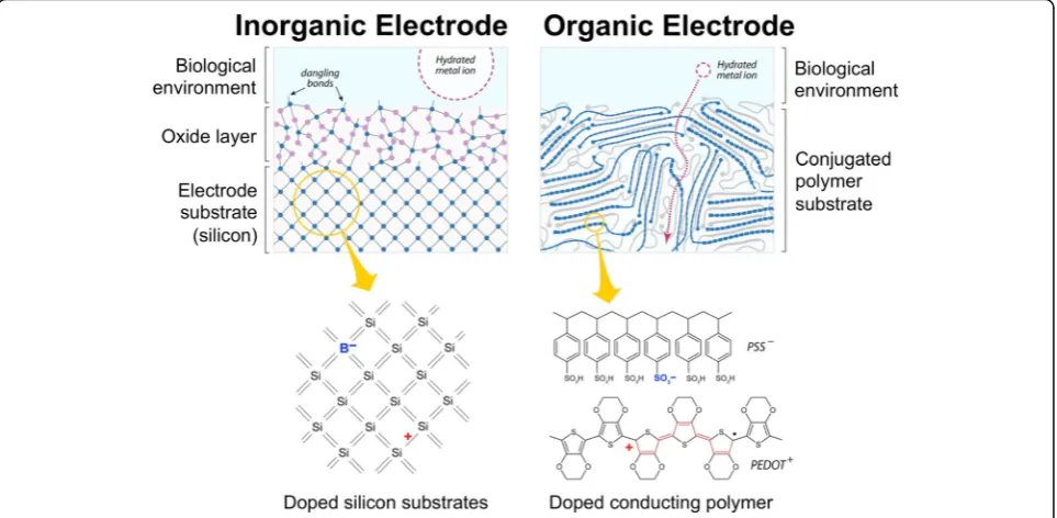 Fig. 4 Peripheral nerve interfaces (PNI) that use organic electrodes offer at least two prominent advantages compared to interfaces composed oftraditional inorganic materials