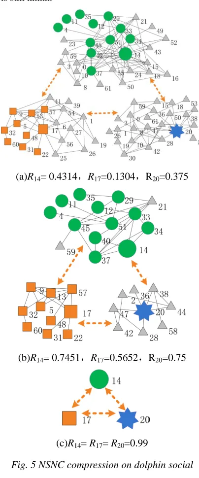 Fig. 5 NSNC compression on dolphin social 