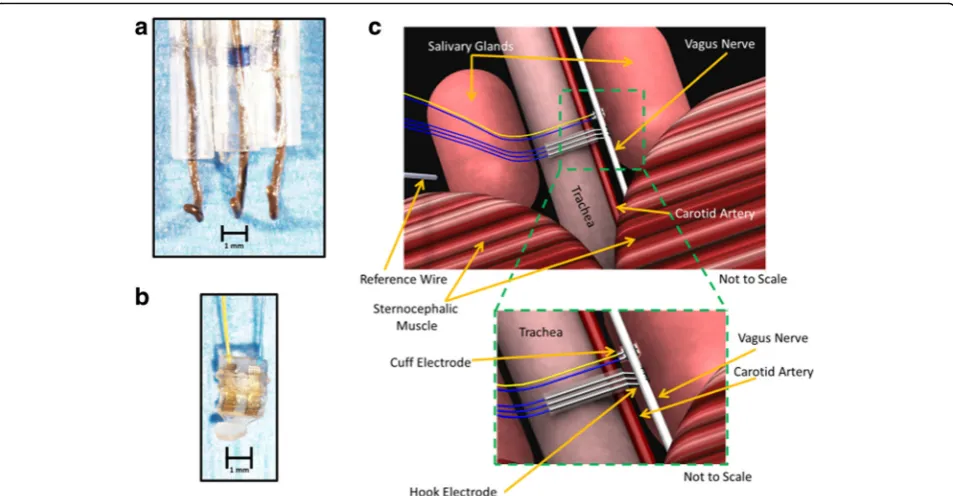 Fig. 1 Electrophysiological recording system for the cervical vagus nerve. a Lab-made hook electrode with three leads was used to record cervicalvagus nerve activity