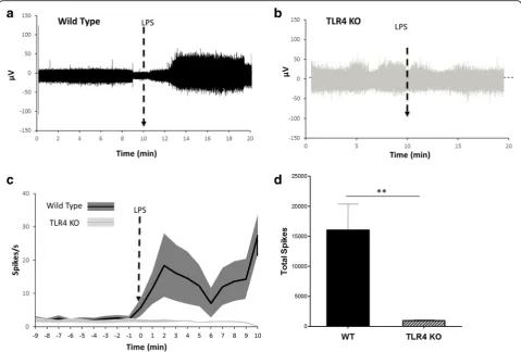 Fig. 7 Time course of LPS-induced neurogram in wild type and TLR4 KO mice. Representative neurogram in a) wild type and b) TLR4 KO mice