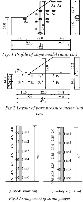 Fig. 1 Profile of slope model (unit: cm) 