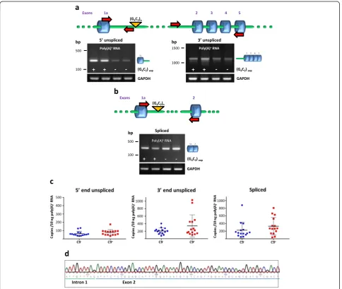 Fig. 1 Intron 1 retention inand 2.1 were determined by real-time qRT-PCR. Data are shown as means ± SEM