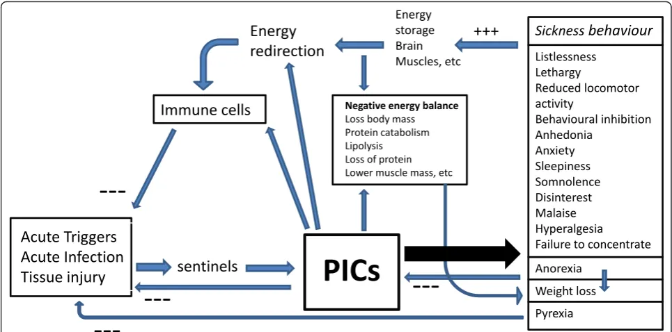 Figure 2--- This figure shows the functions of acute inflammation-induced sickness behavior: a) energy saving by protecting the organismfrom the energy consuming effects of inflammation (through somnolence, lethargy, sleepiness, hyperalgesia, reduction of motor activity,exploration and grooming, cognitive deficits, loss of libido, anhedonia, disinterest in social interactions with the environment, and anxiety); b)anti-inflammatory effects (through anorexia, weight loss); and c) pathogen-directed effects (through pyrexia).