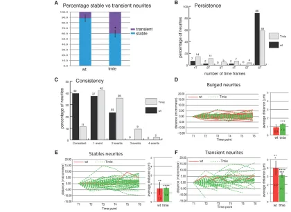 Fig. 4. Quantitative analysis of neurite dynamics. (of neurites was calculated from the percentage of neurites present for only one, two, three, four, five or all six time frames