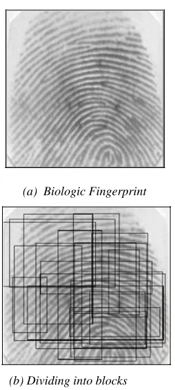 Figure 3:  Fingerprint Divided Randomly into Overlapping Blocks  