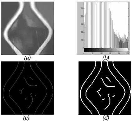 Figure 10: The Ink Cells of Gravure 