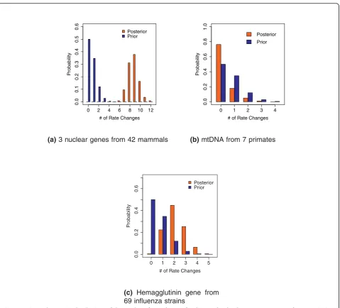 Figure 2 Prior and posterior distributions of the number of rate changes for three molecular data setsexamples, the prior probability of a global molecular clock (clock hypothesis (primates); while small or negligible posterior probability forprior (blue) 