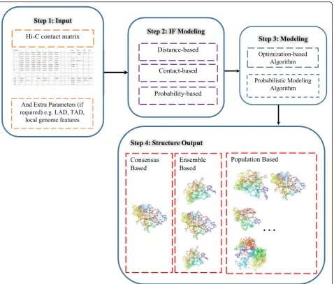 Fig. 2 Chromosome and genome 3-D structure reconstruction workflow. A summarization of the steps for genome and chromosome 3-Dstructure taken by the different methods
