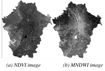 Figure 2 Reflectance Image 