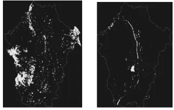 Fig. 4 Spectral feature  