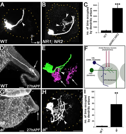 Fig. 4H,I; =P<0.0001; see Fig. S4D in the supplementary material).