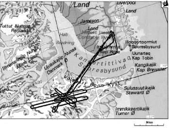 Fig. 7. Airborne laser altimetry tracks over Geikie Ice Cap (1996, two different ﬂights shown).