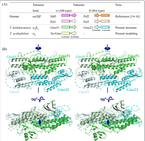 Figure 1 Crystal structure ofandThis coloring is used throughout the manuscript. The B domain of human Psf1 is missing in the crystal structures