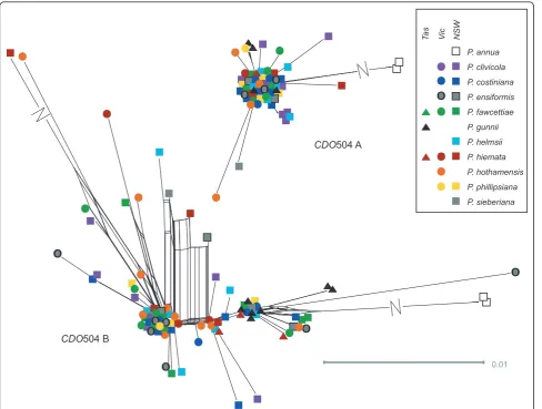 Figure 6 Networks for the two CDO504 gene copies. All networks created using the NeighbourNet algorithm in SplitsTree 4.11.3 using theEqualAngle layout option, from distance matrices created in Mega 5 (see text for details)