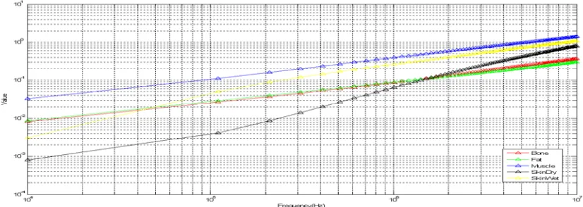 Fig. 1 Propagation Characteristics Of Human Tissue 