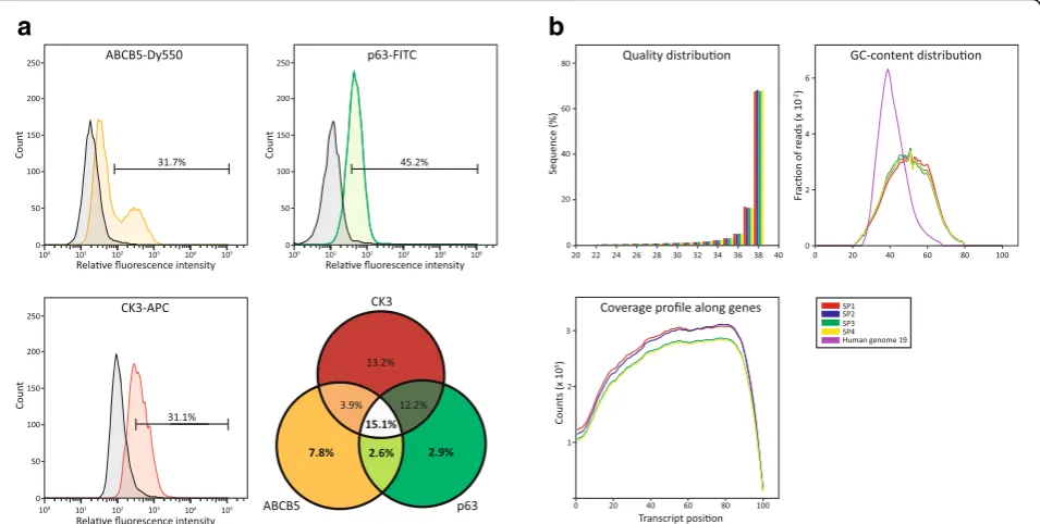 Fig. 2 Effect of optimized procedure on the separation of subpopulations and the sequencing analysis of RNA quality.from background using top 2.5 percentile of control intensity as a cut-off is shown in representative traces for both membrane (ABCB5)and in