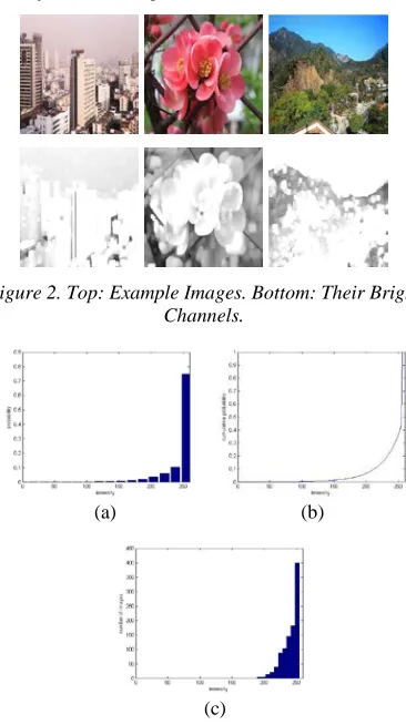 Figure 2. Top: Example Images. Bottom: Their Bright Channels. 