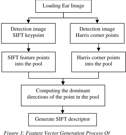 Figure 2: Harris operator to the ear image corner  detection 