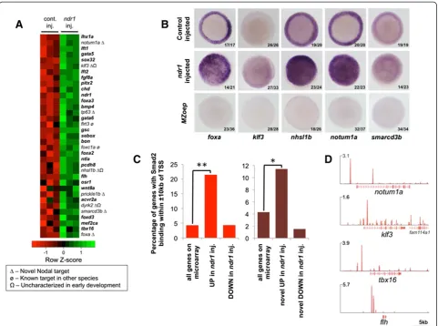 Figure 1 ndr1 overexpression in zebrafish blastulas identifies known and novel Nodal target genes